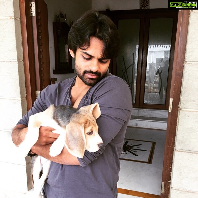 Sai Dharam Tej Instagram - Panja Maximus 😘😘😘