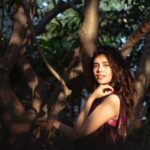 Sanjana Sanghi Instagram - Wishing I could just hide in, on and amidst trees always.