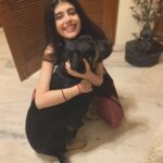 Sanjana Sanghi Instagram - My youngest of our 5 dogs, Simba, spent his Diwali night hiding in a far off corner of our home, whimpering, vomiting, and shivering trying to protect himself from the endless noise around him. Their ears simply can not tolerate that frequency of sound. I had to clasp on to him to make him stop. That one moment of, what is incomprehensible to me, “joy” that we experience seeing a cracker light up, or a rocket launching into the sky, causes prolonged, and often chronic damage to our sweetest, harmless and most loving animals. Share the story of what your pet cat, dog, or any or all other animals went through because of this selfish and petty menace on our part, with the hashtag #PettyDiwali and tag me. Or email us at pettydiwali@gmail.com So we can collate and then share the experiences of what our pets go through, for those who are ignorant, and move towards making a concrete change next time round. GIVE CRACKERS UP. #PettyDiwali