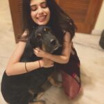 Sanjana Sanghi Instagram - My youngest of our 5 dogs, Simba, spent his Diwali night hiding in a far off corner of our home, whimpering, vomiting, and shivering trying to protect himself from the endless noise around him. Their ears simply can not tolerate that frequency of sound. I had to clasp on to him to make him stop. That one moment of, what is incomprehensible to me, “joy” that we experience seeing a cracker light up, or a rocket launching into the sky, causes prolonged, and often chronic damage to our sweetest, harmless and most loving animals. Share the story of what your pet cat, dog, or any or all other animals went through because of this selfish and petty menace on our part, with the hashtag #PettyDiwali and tag me. Or email us at pettydiwali@gmail.com So we can collate and then share the experiences of what our pets go through, for those who are ignorant, and move towards making a concrete change next time round. GIVE CRACKERS UP. #PettyDiwali