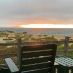 Sanjana Sanghi Instagram - A hike along the ocean on a hill, a drive with the wind caressing my face, and a divine sunset? YES PLEASE! Point Reyes Station, California