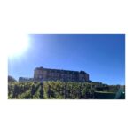 Sanjana Sanghi Instagram – It was a perfectly sunny day with bouts of laughter at Domaine Carneros / #vscocam the Napa Valley
