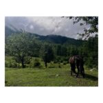 Sanjana Sanghi Instagram - Really just want to lay right back there. . . . #travelgram #horsesofinstagram #vscocam #bhutan #himalayas #natureboy Paro Taktsang