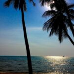 Sanjana Sanghi Instagram - Waiting to see the end of this dichotomy between me in the sea, Where my fear of its enormity is second only to my admiration for its beauty. . . . #hydrophobic #aesthetic #ocean #travel #travelgram #vsco #vscocam Naklua-Pattaya