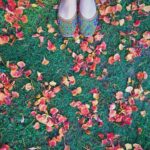 Sanjana Sanghi Instagram - It is to me, a perfect amalgamation of everything beautiful. To others maybe, just another speck of nature, that they believe is bountiful. #nature #earthing #vsco #vscocam