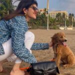 Sanjana Sanghi Instagram - When your bag’s just as huggable as it’s lovable - @coach’s iconic Pillow #TabbyBag is my cushiest accessory this season. Shop the collection while it lasts in store at @jioworlddrive or online at @ajioluxe #CoachNY #TabbyBag @coach @ajioluxe @luxe_project #Collab
