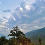 Sanjana Sanghi Instagram - Making a film in ~ That shining sun. Those laughing leaves. That crystal clear sky. Those majestic mountains. These memories, these moments of creative liberation. And most importantly, those blissful mountain power naps. Life, muchas gracias! ☺️ ⛅️ 🏔♥️ 🎥 Himachal Pradesh