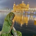 Sanjana Sanghi Instagram - Being able to return to my place of peace after almost 2 years of the pandemic, is a feeling I’ve yearned for every single day through this time. Happy happy GuruPurab. Here’s to celebrating love, equality, freedom and kindness forever. #WaheGuru ♥️🙏🏻 Amritsar, Punjab
