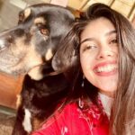 Sanjana Sanghi Instagram - Meet Simba, a legend. One of our precious 5. You’ve all met Snoop before. (And shall be introduced to all eventually) Lights up my life. Constantly plays hard to get. Knows he’s way too special. Owns it. #NationalPetDay #ADayLate