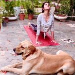 Sanjana Sanghi Instagram – Can I PLEASE teach you how actually to do the upward dog?! 🐶🧘‍♂️ My sweet little yoga companion does not appreciate a human trying to do the upward or downward dog, because it’s clearly only his birth right.

Meet Snoop Sanghi, he’s one of our five. And that’s him expressing disapproval. 🤍❌ #YogaFromHome #DogsOfInstagram New Delhi