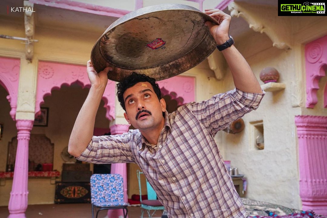 Sanya Malhotra Instagram - ⚠️Missing⚠️ Name: Jack Fruit Description: Unusually large, perfectly ripe for your watchlist Kathal is coming soon on Netflix!🤩 #HarDinFilmyOnNetflix #Kathal #kathalOnNetflix @anantvjoshi @yashowardhanm @guneetmonga @ektarkapoor @achinjain20 @shobha9168 @ruchikaakapoor @ashokmishraa40 @vijayraazofficial @rajpalofficial @imsarafneha @govindpandey07 @buntyshashi @netflix_in @Sikhya @balajimotionpictures #BalajiMotionPictures