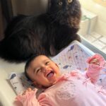 Sarah Khan Instagram - MASHALLAH 🐈‍⬛♥️💕 #AlyanaFalak