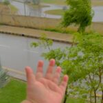 Sarah Khan Instagram - 🌧💕