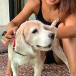 Shakti Mohan Instagram – Miss you 💔

Not a single day passes when I don’t think about you. 
I feel you are still with us in spirit. 
Such a joyful soul 🐶
I miss you terribly…Love you Frodo 🌸