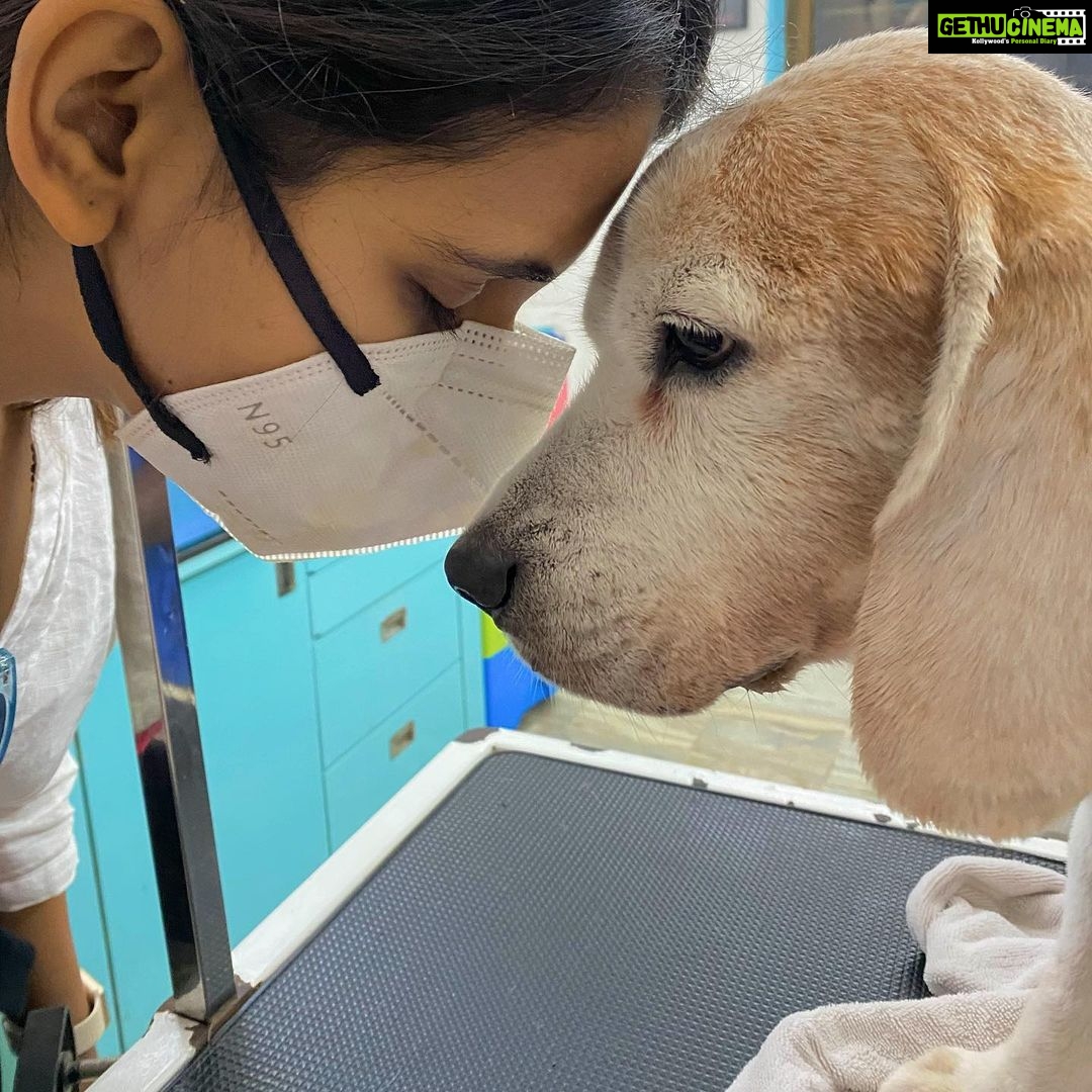 Shakti Mohan Instagram - 💔 It’s unimaginable to know i will never see you again. You brought so much joy in our lives, can’t believe you are gone and it’s unbearable. Life doesn’t feel the way it was with you Frodo Hope you are in a better place 🙏🏻 I love you so very much 🐶