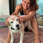 Shakti Mohan Instagram - Kaun kisko pareshaan kar raha hai pata nahi chal raha 🐶🤨 Aap Batao? Kya lagta hai? #frodo is good boiiiii... at times 😅👀