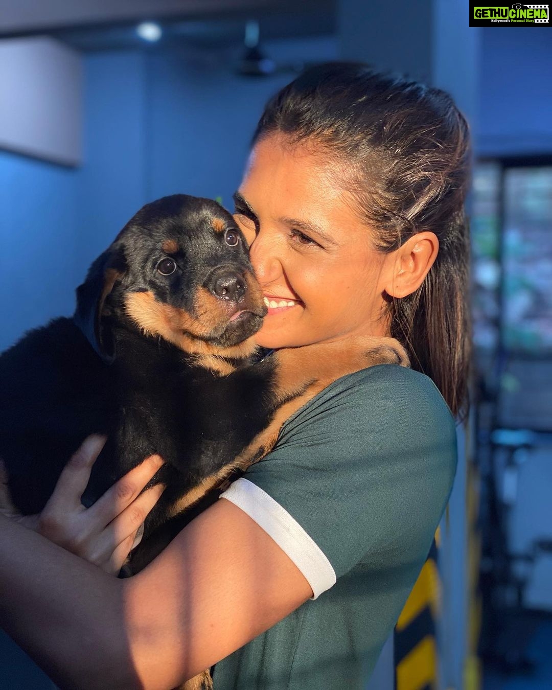 Shakti Mohan Instagram - hi hi hi hi hi my gugu bugu nugu chuggu tiny lil cooshy mooshy poopy dawg 🥰 (It can be a song 😷, you can add to the lyrics and we will ask our @neetimohan18 didi to compose it 🤣) #daisy 🐶 🎀 #puppies 💕 📷 @rohan_shah_