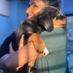 Shakti Mohan Instagram - hi hi hi hi hi my gugu bugu nugu chuggu tiny lil cooshy mooshy poopy dawg 🥰 (It can be a song 😷, you can add to the lyrics and we will ask our @neetimohan18 didi to compose it 🤣) #daisy 🐶 🎀 #puppies 💕 📷 @rohan_shah_