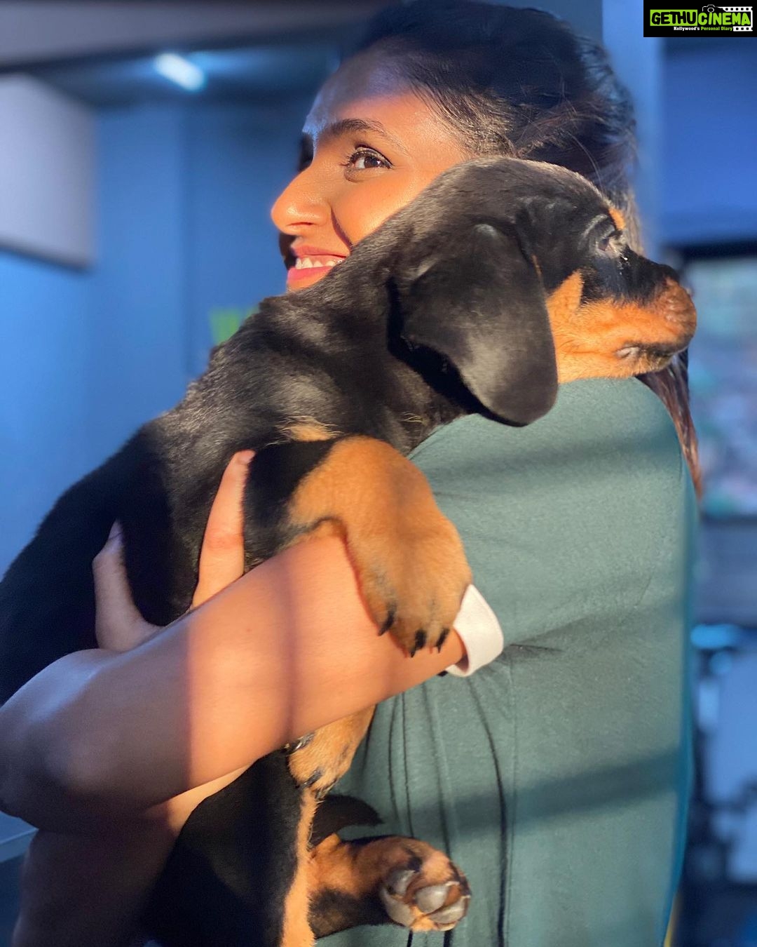 Shakti Mohan Instagram - hi hi hi hi hi my gugu bugu nugu chuggu tiny lil cooshy mooshy poopy dawg 🥰 (It can be a song 😷, you can add to the lyrics and we will ask our @neetimohan18 didi to compose it 🤣) #daisy 🐶 🎀 #puppies 💕 📷 @rohan_shah_