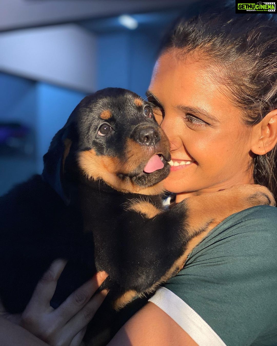 Shakti Mohan Instagram - hi hi hi hi hi my gugu bugu nugu chuggu tiny lil cooshy mooshy poopy dawg 🥰 (It can be a song 😷, you can add to the lyrics and we will ask our @neetimohan18 didi to compose it 🤣) #daisy 🐶 🎀 #puppies 💕 📷 @rohan_shah_