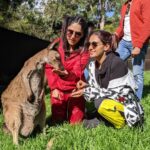 Shakti Mohan Instagram – rubaroo with kangaroo 
#australia 🦘
@neetimohan18 @nihaarpandya
@muktimohan
#throwback