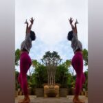 Shakti Mohan Instagram – 🌺 Dedicated to you all 🌺
Aye udi udi udi cover by @neetimohan18 
A fun evening on the terrace exploring movement, playing with flowers, enjoying the sky and birds. 🌱🕊️☁️
Enjoy this wonderful evening 🤍