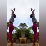 Shakti Mohan Instagram – 🌺 Dedicated to you all 🌺
Aye udi udi udi cover by @neetimohan18 
A fun evening on the terrace exploring movement, playing with flowers, enjoying the sky and birds. 🌱🕊️☁️
Enjoy this wonderful evening 🤍