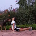 Shakti Mohan Instagram – 🐶 Upward dog 🐕Downward Dog wid ma Dawgs 🐕‍🦺 feat #coco #milo 🐾
#thursdaymotivation 🏃‍♀️🤸‍♀️🤸‍♀️