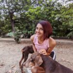 Shakti Mohan Instagram – Let no one go hungry 🐕🦜🐄
A humble request to put out food or water outside your homes for our animals and birds. 
Let’s save these beautiful lives 🌺

@manekagandhibjp @pfa.official
@youth_alliance_against_corona 
#peopleforanimals @narendramodi
#covid2019india🇮🇳 #21dayslockdown