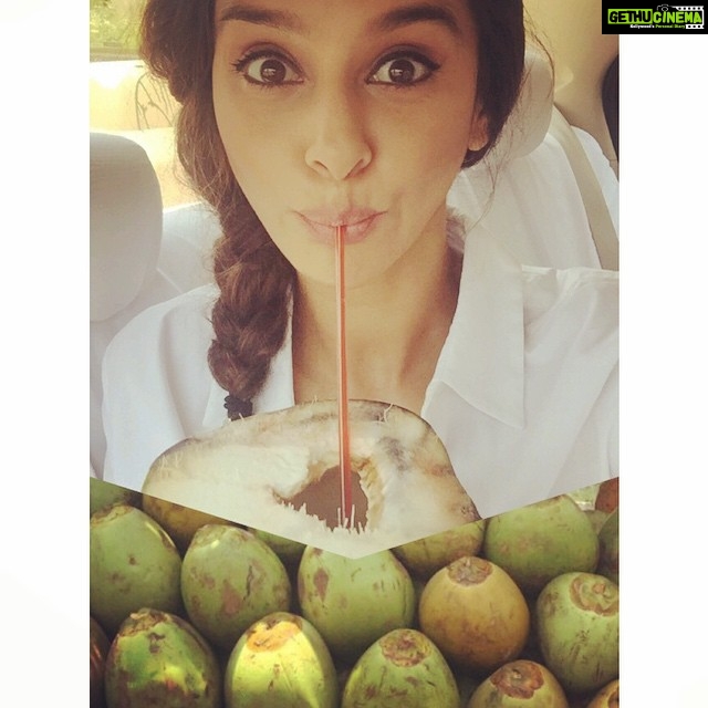 Shibani Dandekar Instagram - My juice on the road! Love me some coconuts! #nextbestthingtowater #coconutwater #thehealthybrowngirl #paleo #fitfoodie A natural isotonic drink that is nature's answer to Gatorade! ❤️