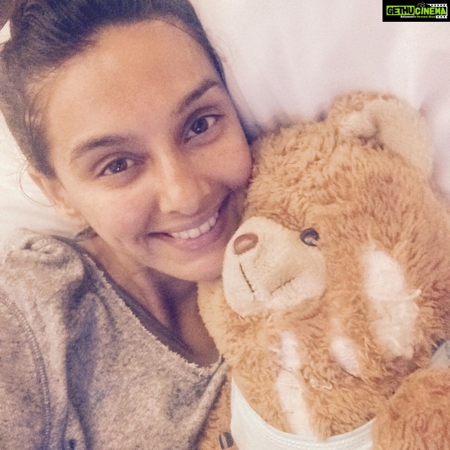 Shibani Dandekar Instagram - Mr Ted my ride or die since I was 7! No one has my back like this guy does! 👊❤️ #heisalittlebustedbutilovehimanyway