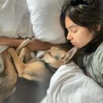Shibani Dandekar Instagram - L O V E