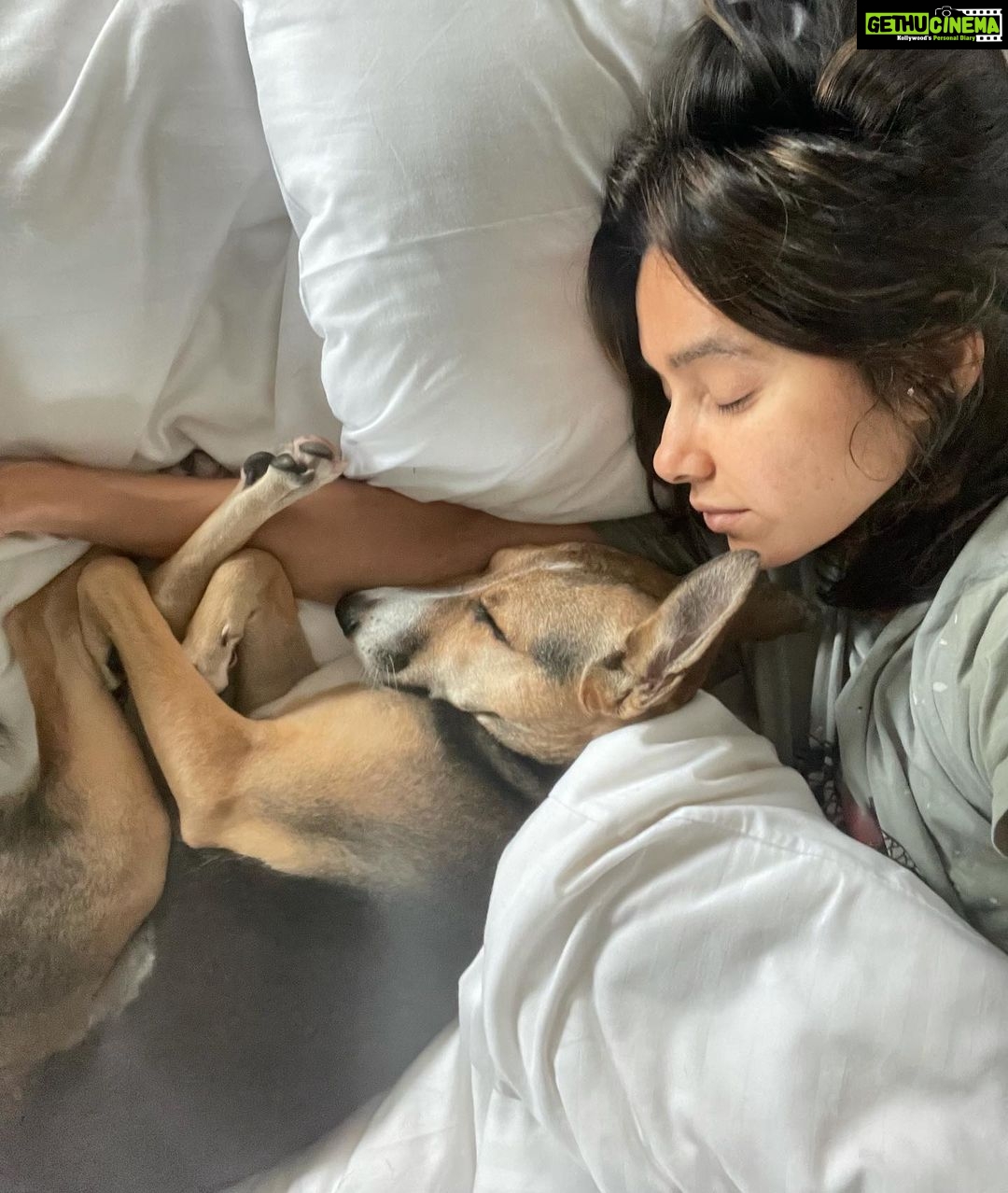 Shibani Dandekar Instagram - L O V E