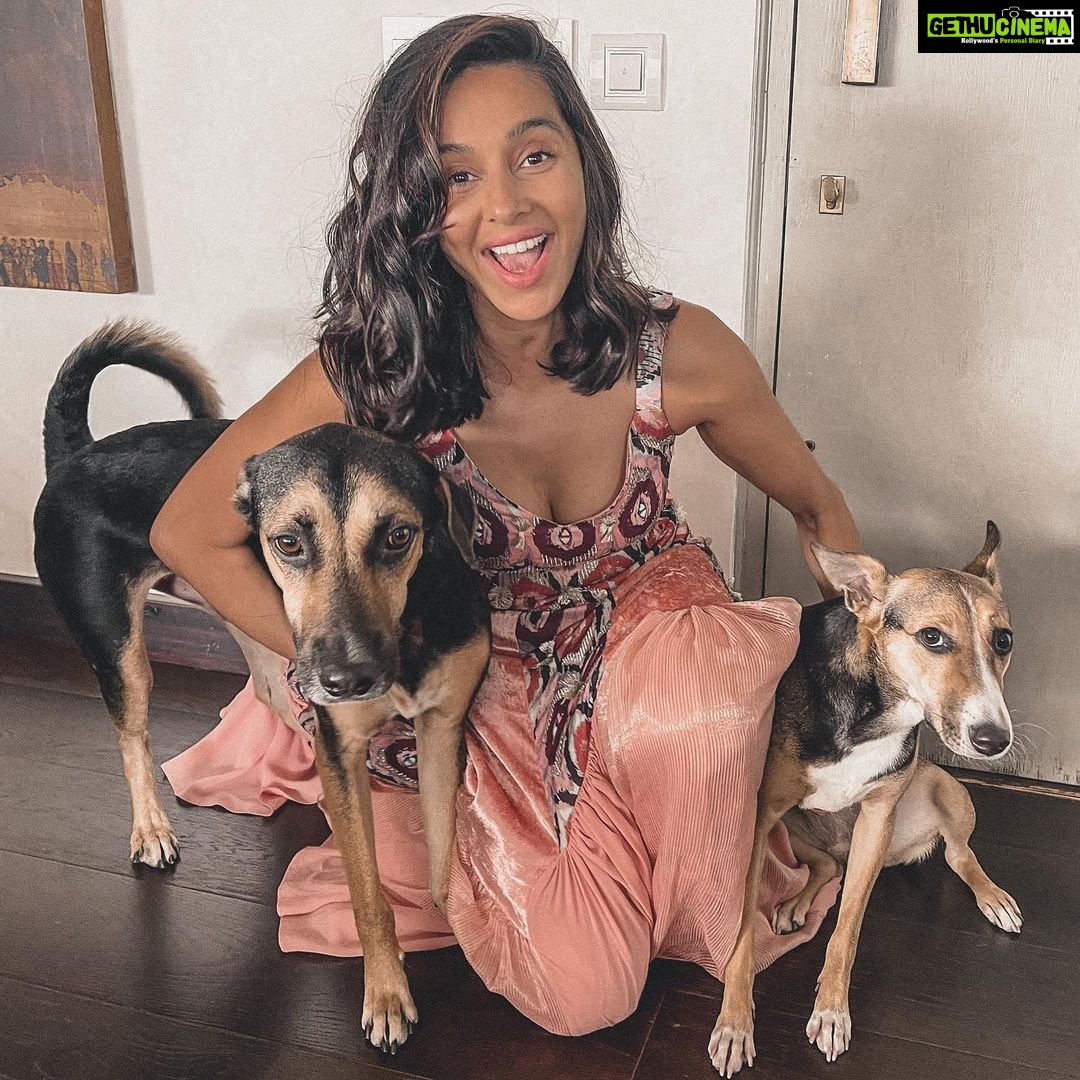 Shibani Dandekar Instagram - my whole heart in a picture ♾ #Jimmy #Tyson wearing @payalsinghal 👛