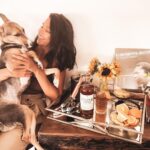 Shibani Dandekar Instagram - Friday evening in with my favourite Ginger Dogs - cuddling with one and sipping on the other 😉 Sharing the cocktail recipe with ya’ll Lots of ice in a highball glass Pour 37.5 ml Copper Dog Whisky Top it up with Ginger Ale Garnish with an Orange Peel Cheers! @copperdogwhiskyindia #spon #CopperDogWhisky #CopperDogIndia #DrinkResponsibly