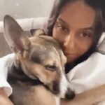 Shibani Dandekar Instagram - It isn’t all bad ...truly the best thing that happened this year.. grateful that you came into my life baby girl Ty.. thankful to your parents for making you .. my promise to them is that I will always love you, protect you and give you the happiest life possible .....it’s you and me kiddo forever and always 🤍