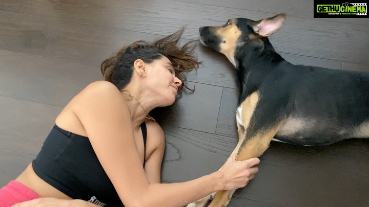 Shibani Dandekar Instagram - singing sessions with my boy #JamDonut .. love you Jimbo 🖤