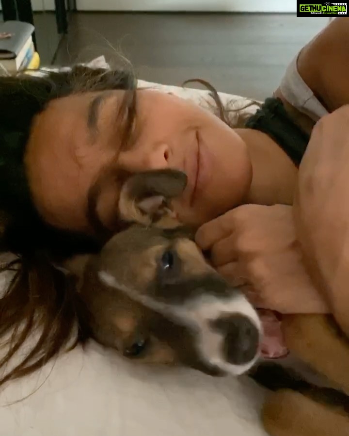 Shibani Dandekar Instagram - Fed up of the puppy videos yet? Brace yourselves we just getting started!! #Tyson 🥊 sound on for the cuteness