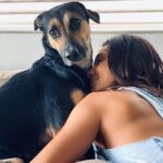 Shibani Dandekar Instagram – ❤️My fuzzy valentine ❤️ #Jimmy