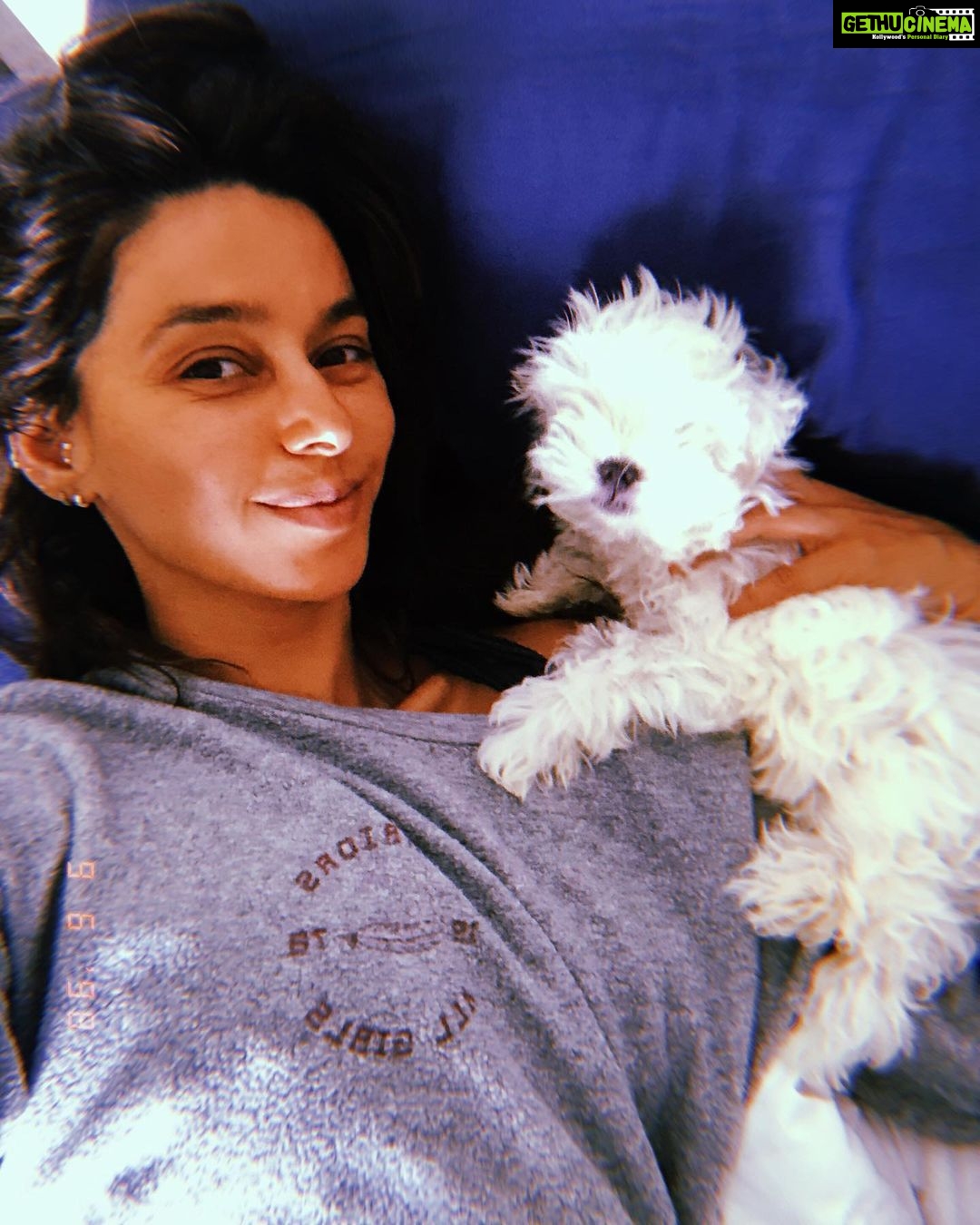 Shibani Dandekar Instagram - Dem Gangsta Sunday mornings 🐶 #thatbrowngirl