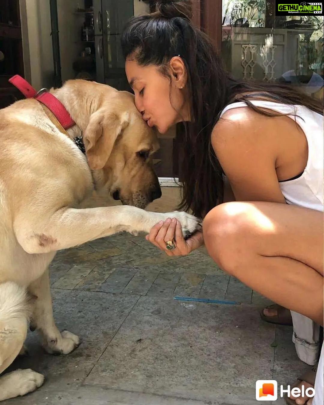 Shibani Dandekar Instagram - #MAXIMUS 🍩❤️ Keep following me on @Helo_App for more updates