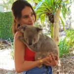 Shibani Dandekar Instagram - Please meet my buddy Spoon.. could he be any cuter???!!! 🐨 #thatbrowngirl
