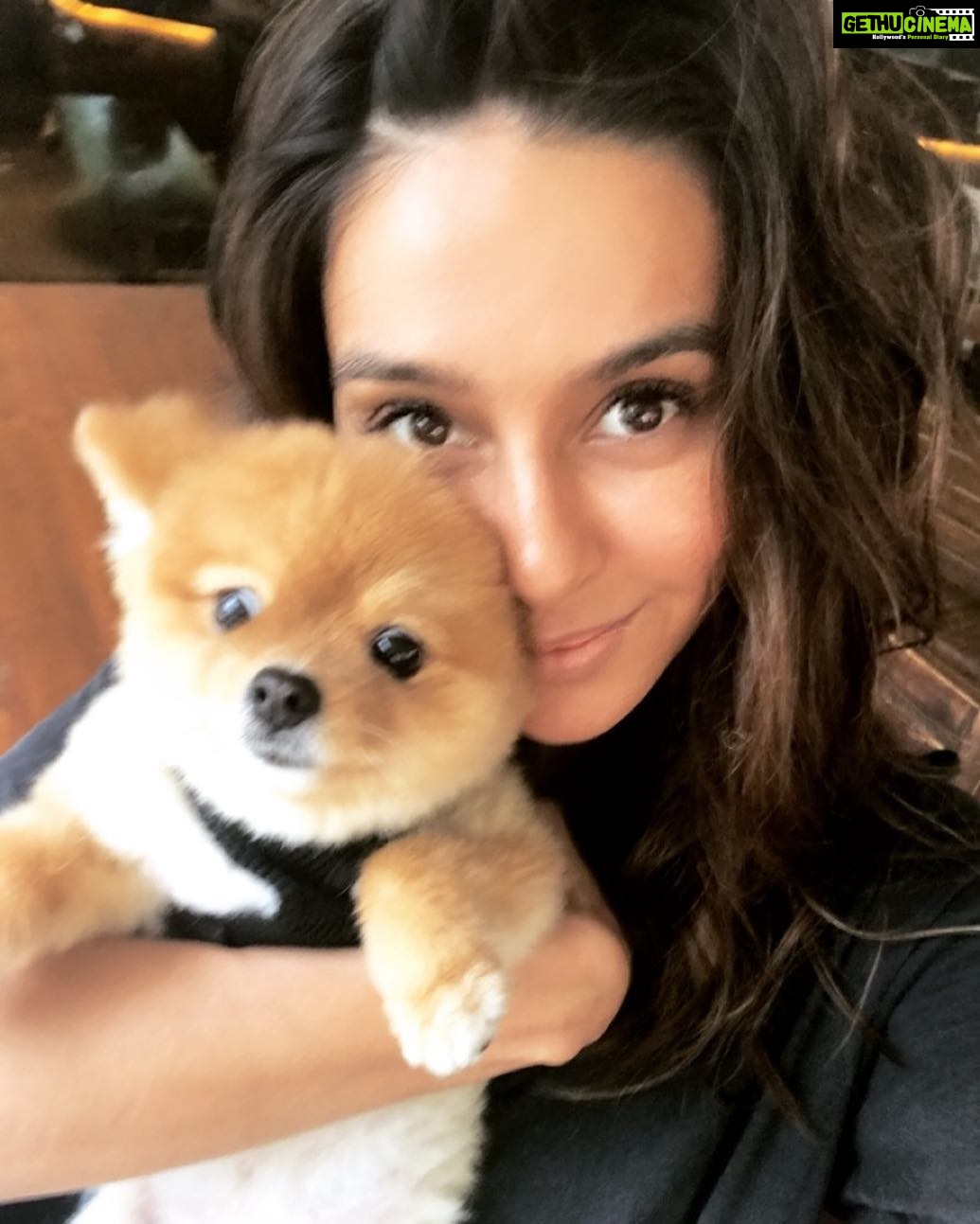 Shibani Dandekar Instagram - Sunday’s are for Millie and aunty shibs #sundayfunday isn’t she just the cutest?? 🌸 @harpreetbaweja @princessmilliepie