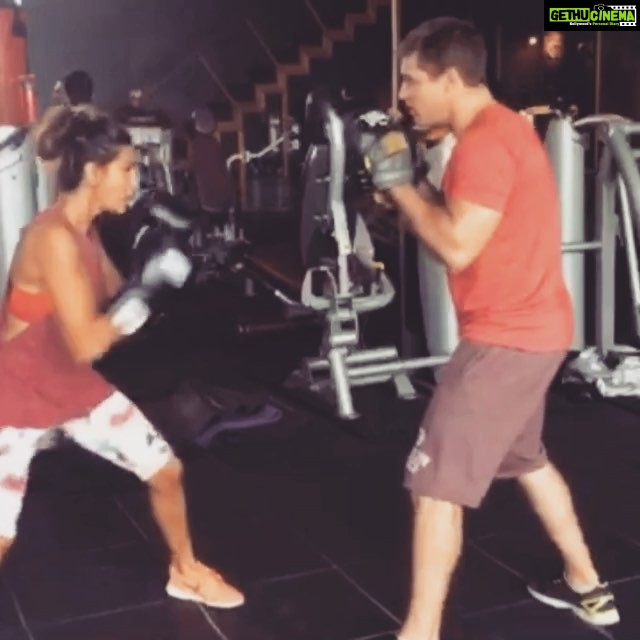 Shibani Dandekar Instagram - My current mood... actually this is my mood for the week! If you see me.. RUN ππ½ββοΈππ½π @gwendaboulle Vincent Boulle I miss smacking the crap outta ya! π come back letβs go a few rounds ππ½