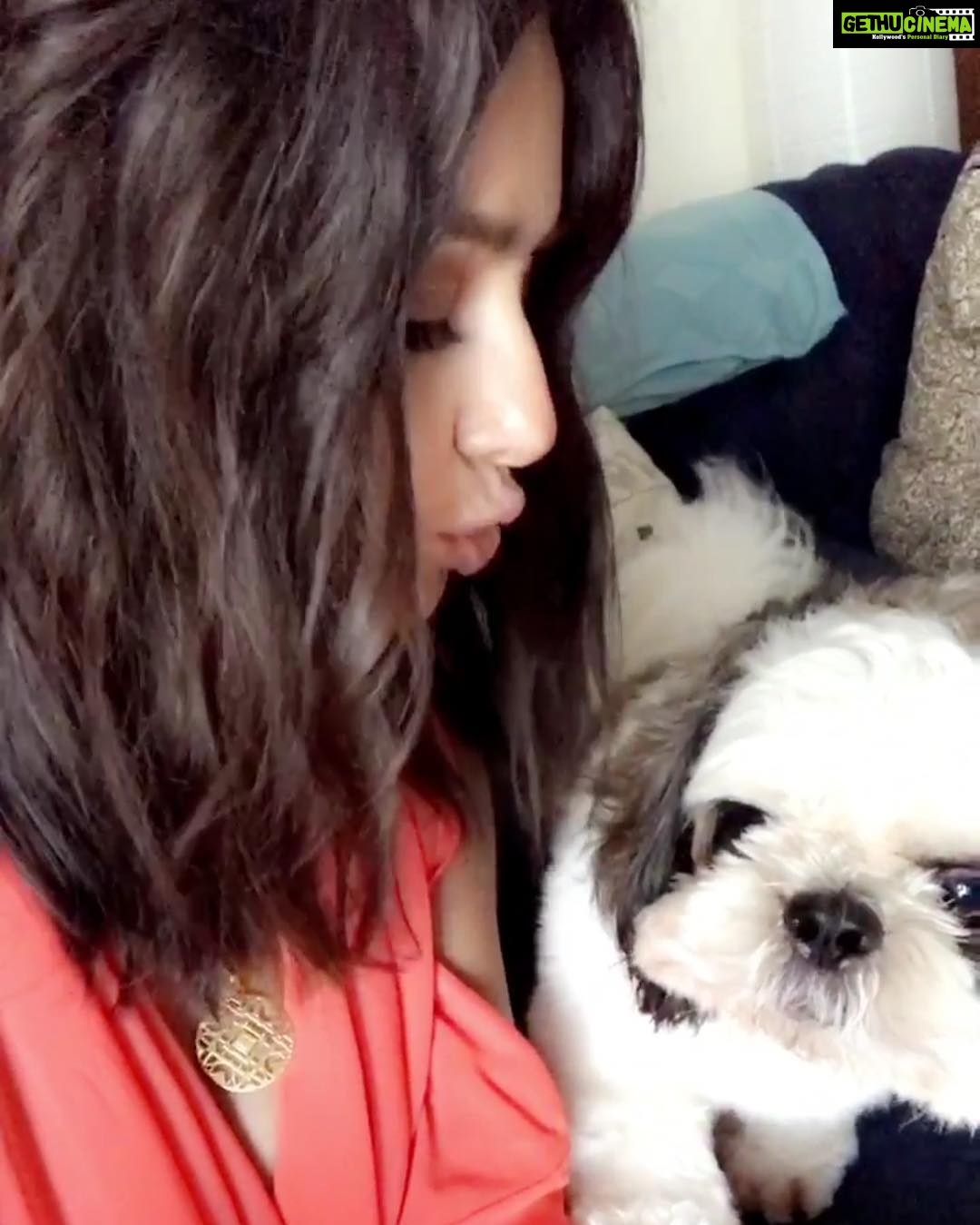 Shibani Dandekar Instagram - so much love for you monkey 🐶 #monster thanks for getting all up in my face and growling when I asked for kisses 🙄💋