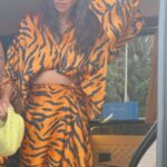 Shibani Dandekar Instagram - Tiger on the loose in Turkey 🐅 wearing my absolute fucking fav in the whole world @imwearingzed by my girl @chantelfenech who has killed it with this collection 🔥🔥
