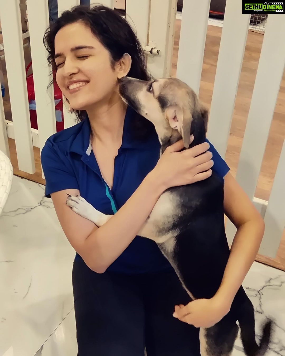 Shirley Setia Instagram - With the cutestt furry friends out at @yodamumbai 🫶🏻🐶🐱