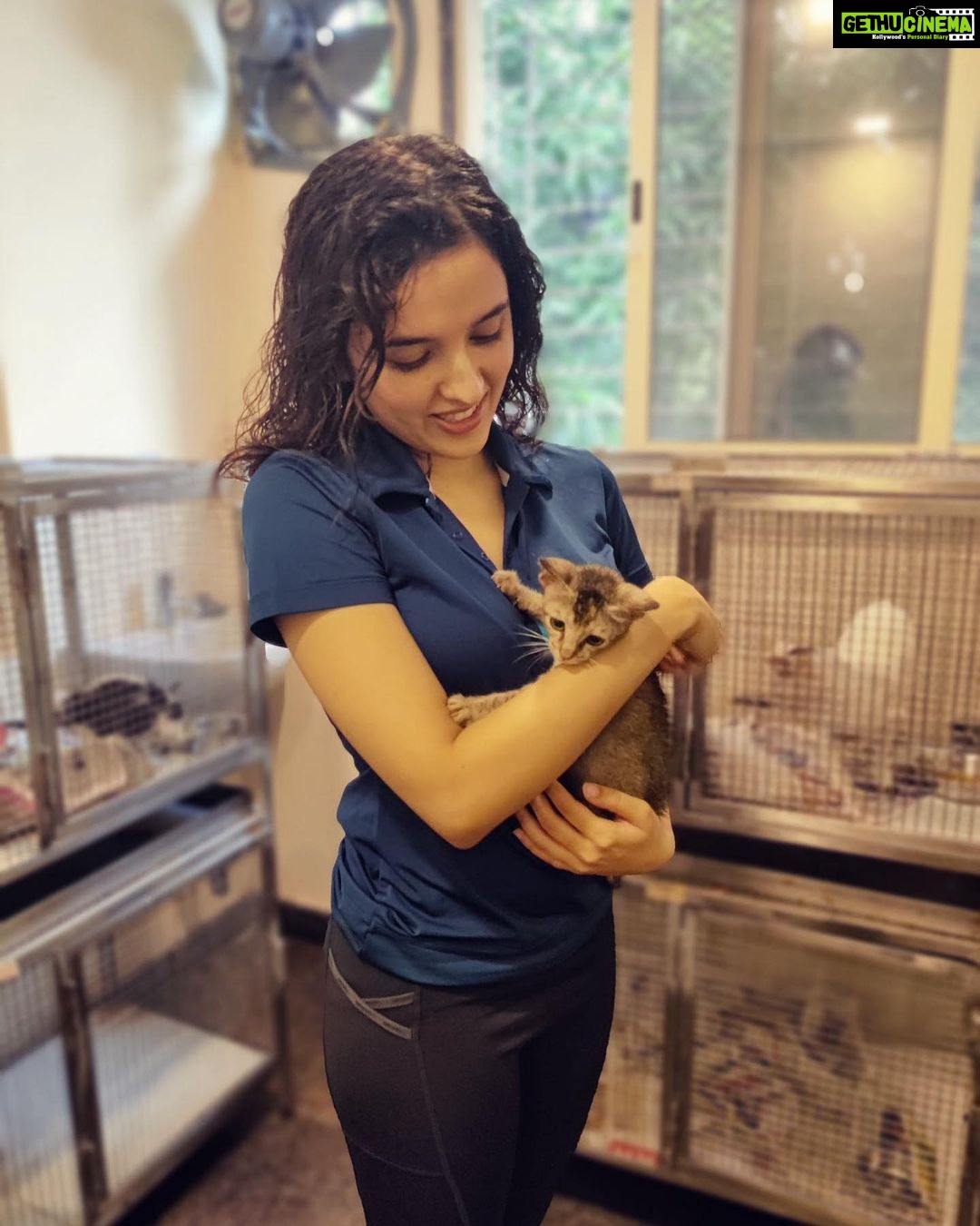 Shirley Setia Instagram - With the cutestt furry friends out at @yodamumbai π«Άπ»πΆπ±