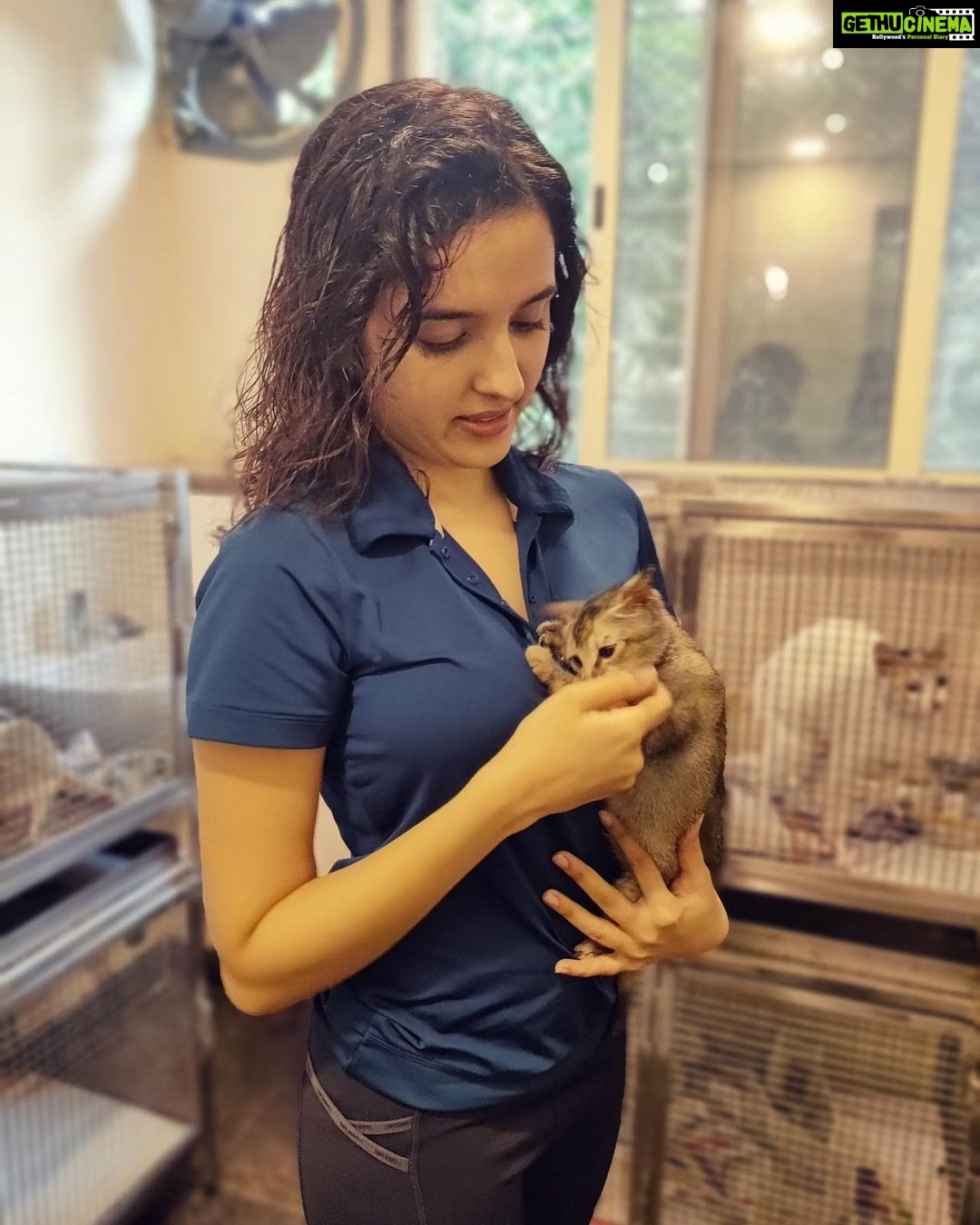 Shirley Setia Instagram - With the cutestt furry friends out at @yodamumbai π«Άπ»πΆπ±