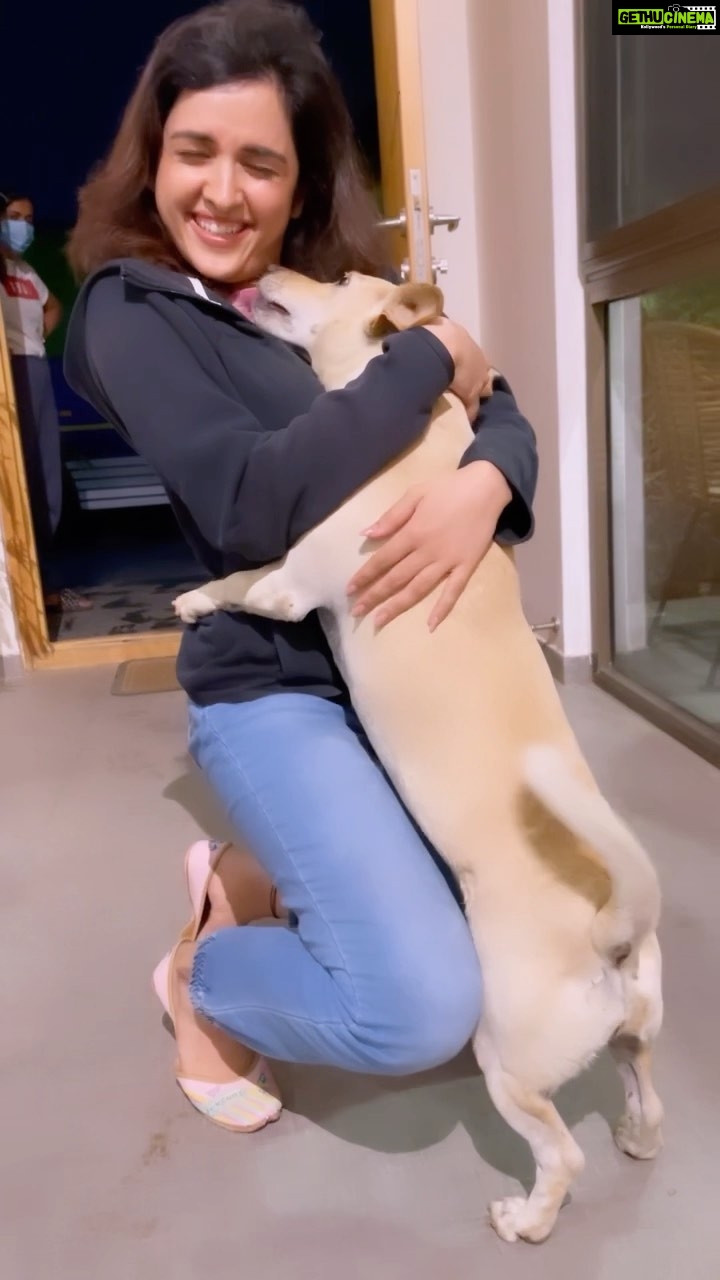 Shirley Setia Instagram - Making new friends along the journey 😻🐶 My lovingg new friend - Shanti. Thank youuu for all the love you gave me, little onee. Coming back to Hyderabad to seee you soonn ❤️ Hope everyone gets to experience the unconditional love that these pets have to add to the lives of Hoomanss! Shower love and affection on all days, not just today. Wishing for a world where everyone is more open to adopting and fostering strays ❤️ Happy #NationalPetDay 🥰